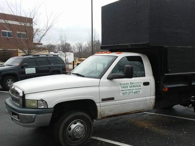 A white dump truck with a tall black chip box and Woody Bryant's Tree Service and the phone number lettered on the door, parked in a lot.